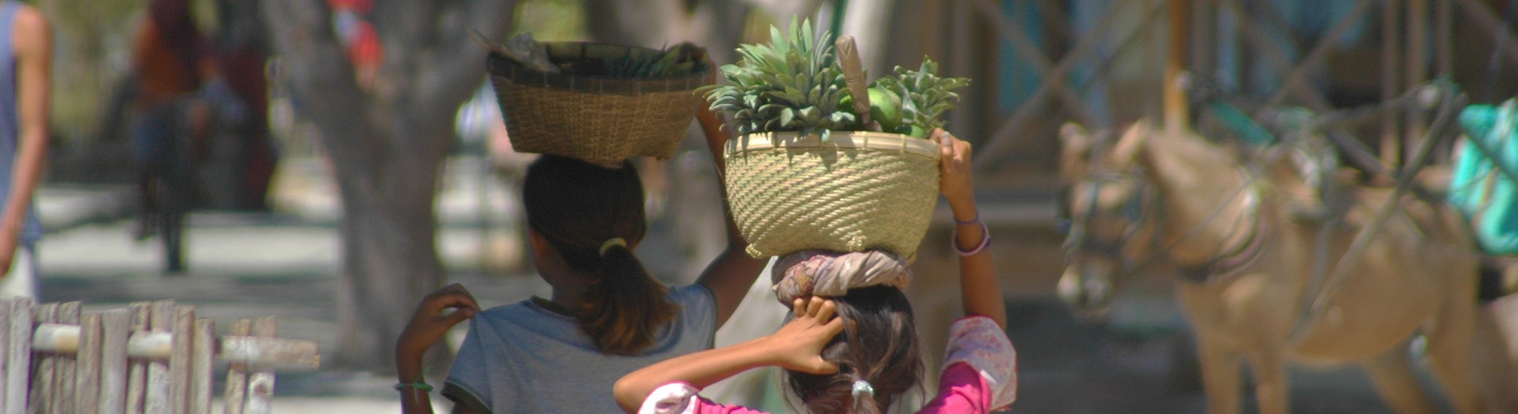 Klantenservice - FAQ